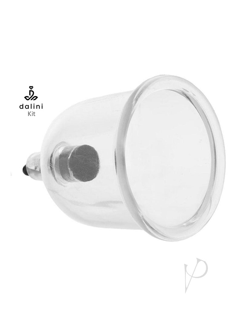 Lux Fetish Erotic Suction Cupping Set